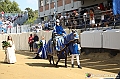 VBS_0909 - Palio di Asti 2024